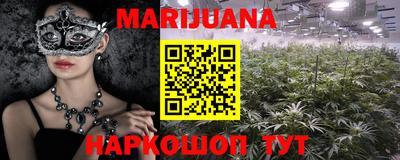 сатива Будённовск