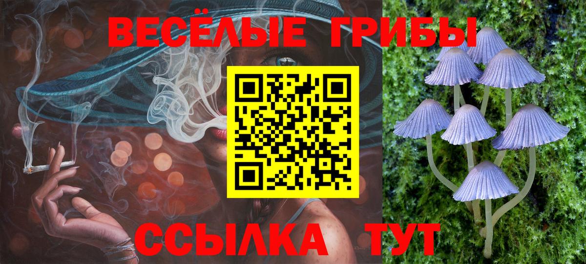 Сорочинск  Галлюциногенные грибы GOLDEN TEACHER  Вход с VPN 